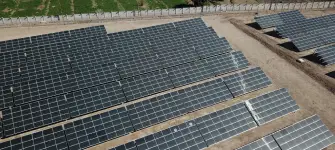 Energía Limpia Fotovoltaica